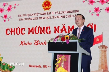 Đại sứ Việt Nam tại Vương quốc Bỉ, Đại công quốc Luxembourg, Trưởng Phái đoàn Việt Nam bên cạnh Liên minh châu Âu Nguyễn Văn Thảo phát biểu tại chương trình. (Ảnh: Hương Giang/TTXVN)