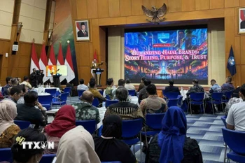 Quang cảnh hội thảo. (Ảnh: Đỗ Quyên/TTXVN)