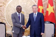 Tổng Bí thư Tô Lâm tiếp ông Lazare Eloundou Assomo, Giám đốc Trung tâm Di sản Thế giới của Tổ chức Giáo dục, Khoa học và Văn hóa của Liên hợp quốc (UNESCO). (Ảnh: Phạm Kiên/TTXVN)