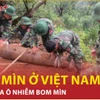 Ô nhiễm bom mìn, vật nổ tại Việt Nam còn nặng nề, phức tạp 