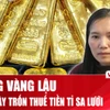 546 kg vàng và tiền tỷ trốn thuế trong đường dây buôn lậu bị lật tẩy