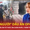 Vụ sản xuất dầu ăn giả với doanh thu hơn 8.200 tỷ đồng, Bộ Y tế nói gì?