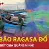 Siêu bão Ragasa suy yếu xuống cấp 15-16, đổ bộ vào Quảng Ninh khi nào?