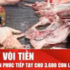 Lộ hành vi vòi tiền của cán bộ kiểm dịch vụ 300 tấn heo bệnh vào trường học