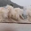 Quảng Ninh, Hải Phòng và Hưng Yên sẵn sàng ứng phó cơn bão Maysak 