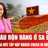 Thủ phủ hoa 300 năm tuổi Sa Đéc tấp nập khách “check-in” đón Tết
