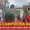 Bắt nghi phạm đưa người xuất cảnh trái phép sang Campuchia đá gà 