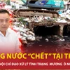 Chủ tịch Hà Nội chỉ đạo xử lý vụ mương nước ô nhiễm chảy giữa khu dân cư thủ đô