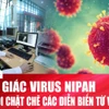 Thành phố Hồ Chí Minh duy trì cảnh giác cao, virus Nipah có khả năng gây tỷ lệ tử vong cao