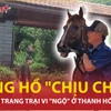 Cận cảnh trang trại của trùm giang hồ Vi 'ngộ' ở Thanh Hóa