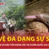 Nỗ lực cứu hộ và bảo tồn động vật hoang dã tại Vườn quốc gia Cúc Phương