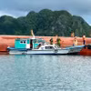 Đã tìm thấy 1 thi thể trong vụ tàu hàng bị lật trên vùng biển đặc khu Vân Đồn