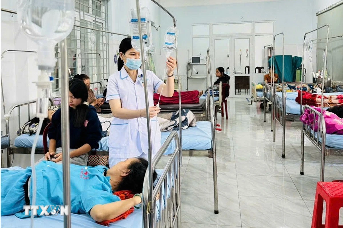 Vụ ngộ độc bánh mì tại Đắk Lắk: Phát hiện vi khuẩn Salmonella trong mẫu bệnh phẩm