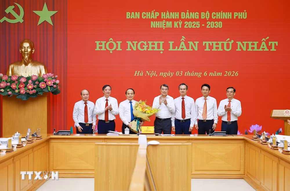 ttxvn-thu-tuong-chu-tri-hoi-nghi-lan-thu-nhat-ban-chap-hanh-dang-bo-chinh-phu-8.jpg