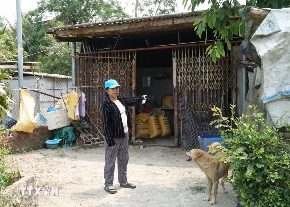 ttxvn-da-nang-tai-dinh-cu-2.jpg