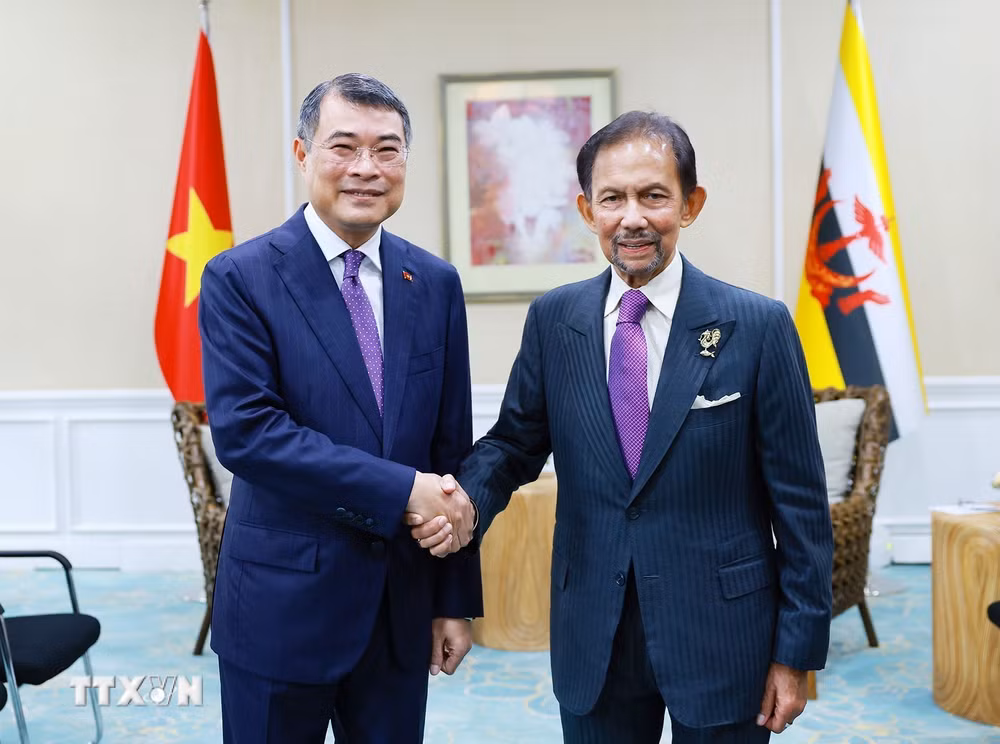 ttxvn-thu-tuong-le-minh-hung-gap-quoc-vuong-brunei-2.jpg