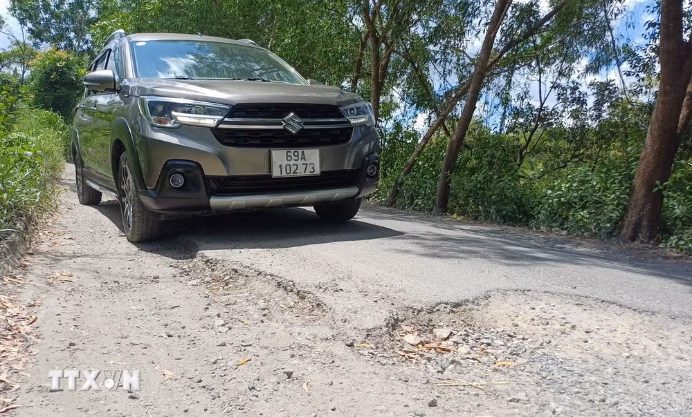 ttxvn-ca-mau-dam-doi-tan-tien-3.jpg