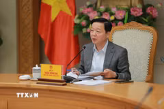 Phó Thủ tướng Trần Hồng Hà phát biểu tại cuộc họp. (Ảnh: TTXVN phát)