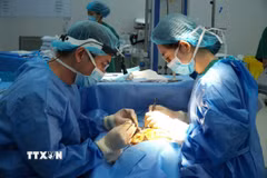 Bác sỹ Bệnh viện Quân y 175 (TP Hồ Chí Minh) thực hiện phẫu thuật vi phẫu tái tạo lưỡi cho bệnh nhân ung thư. (Ảnh: TTXVN phát)
