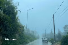Ảnh minh họa. (Nguồn: Vietnam+)