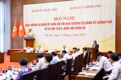 Thủ tướng Chính phủ Phạm Minh Chính phát biểu. (Ảnh: Doãn Tấn/TTXVN)
