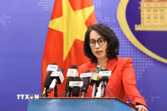 Người Phát ngôn Bộ Ngoại giao Phạm Thu Hằng. (Ảnh: An Đăng/TTXVN)
