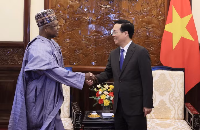 Chủ tịch nước Võ Văn Thưởng tiếp Đại sứ Nigeria tại Việt Nam ảnh 3