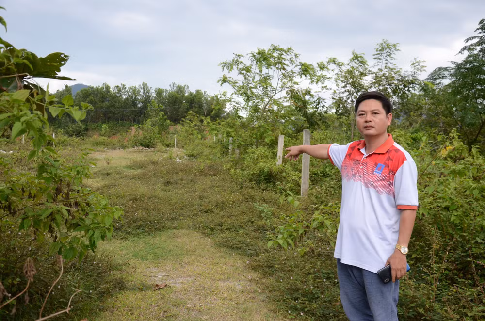 Đà Nẵng: Khắc phục sai sót trong cấp chứng nhận quyền sử dụng đất ảnh 2