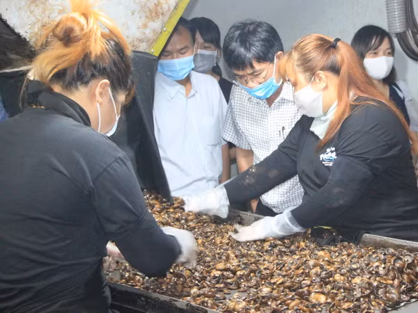 Xuất khẩu hạt điều của tỉnh Bình Phước vẫn đạt 1 tỷ USD ảnh 1