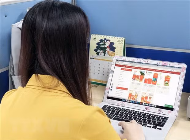 Quảng Ninh: Đẩy mạnh xuất khẩu qua thương mại điện tử xuyên biên giới ảnh 1
