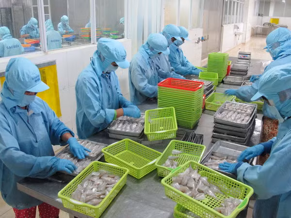 Ngành thủy sản Việt Nam nắm bắt cơ hội từ hội nhập ảnh 1