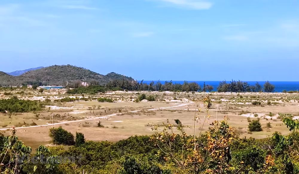 Nghiên cứu ý kiến của giáo sư Đặng Hùng Võ về việc xử lý dự án "treo" ảnh 1