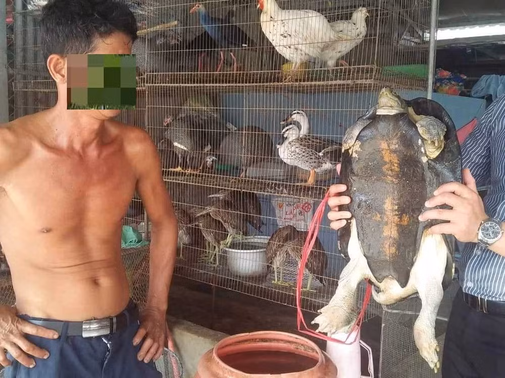 Bài 2: Mục sở thị chợ ‘‘địa ngục’’ sát hại động vật ‘‘sách đỏ’’ ảnh 1