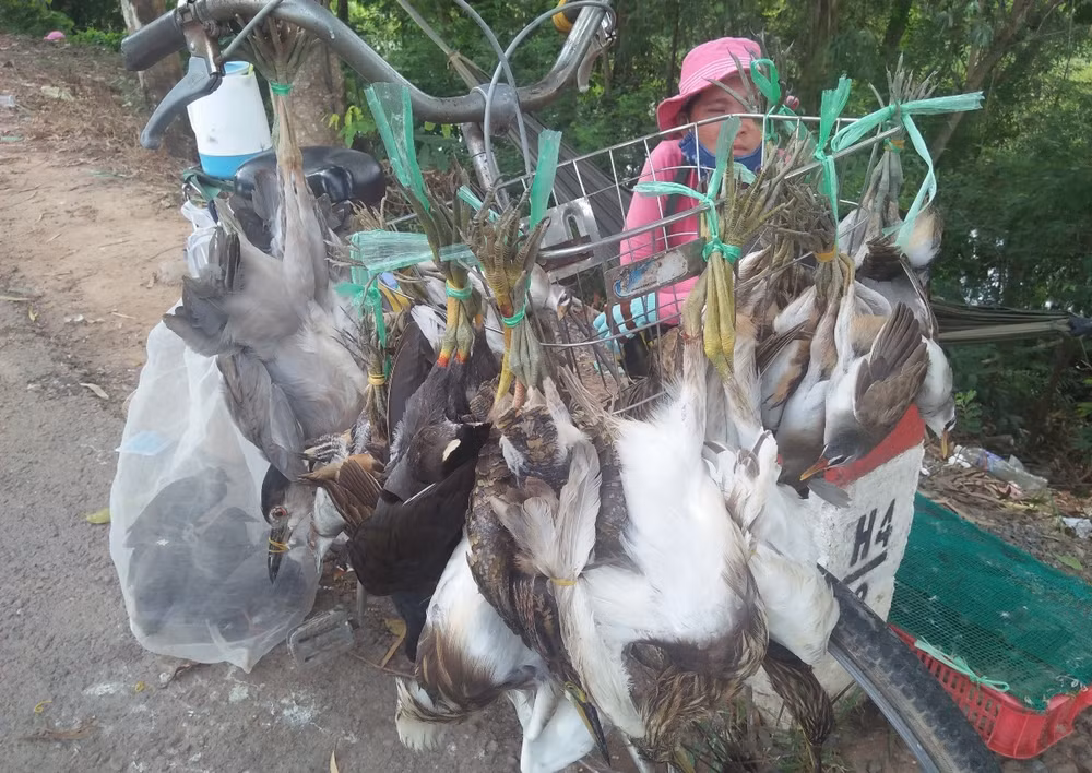 Bài 2: Mục sở thị chợ ‘‘địa ngục’’ sát hại động vật ‘‘sách đỏ’’ ảnh 2