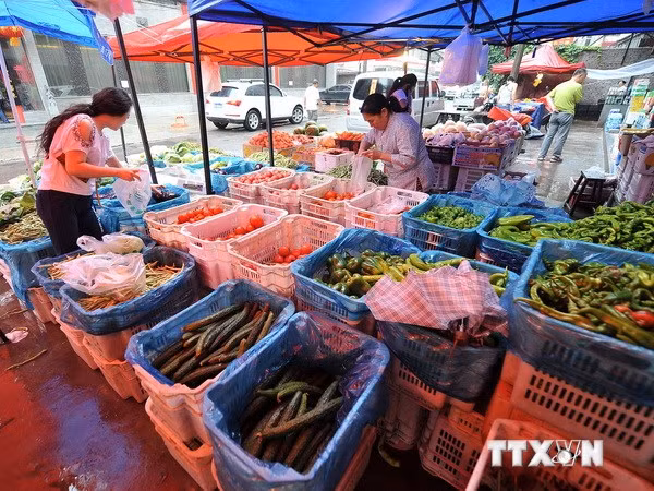 Giá xăng giảm 7 lần, cước vận tải và giá hàng tiêu dùng vẫn đứng yên ảnh 2
