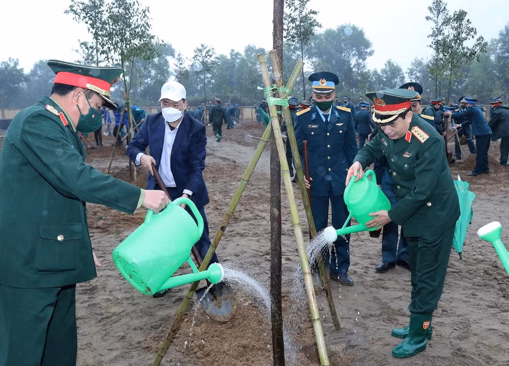 Toàn quân phấn đấu trồng 3,3 triệu cây phân tán và gần 2.500ha rừng ảnh 1