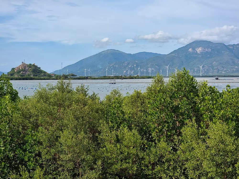 ttxvn_bien doi khi hau_ninh thuan 1.jpg