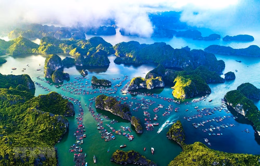 Lan tỏa thông điệp 'xanh' hành động vì môi trường, biển đảo quê hương ảnh 1