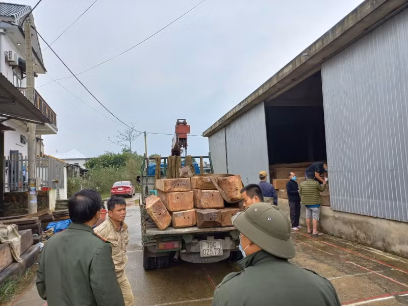Thừa Thiên-Huế: Phát hiện hàng chục phách gỗ Chua không rõ nguồn gốc ảnh 1