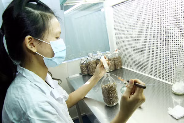 Phát triển khoa học cơ bản: Nhiều nút thắt cần phải tháo gỡ ảnh 1