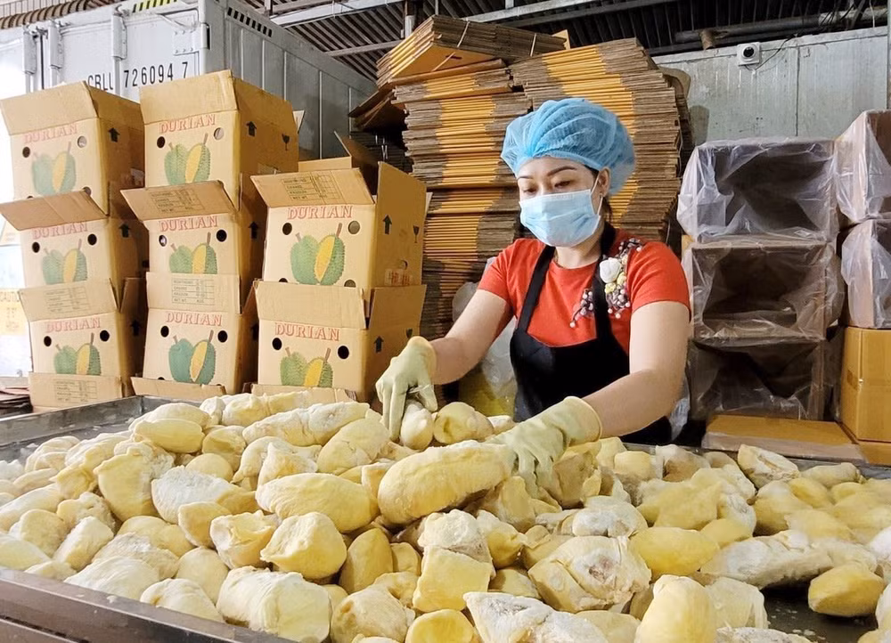 Phát triển 'nóng" các loại nông sản ở Tây Nguyên: Đâu là giải pháp? ảnh 5
