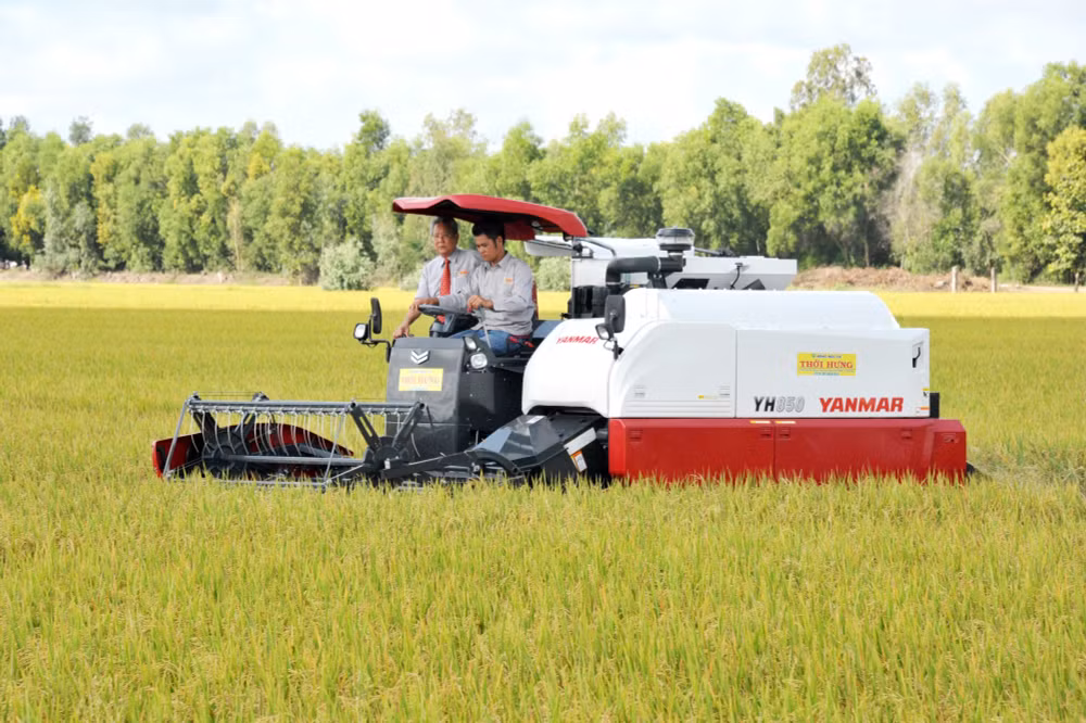 Cơ hội để Việt Nam tiếp tục cung cấp gạo ổn định sang Philippines ảnh 1