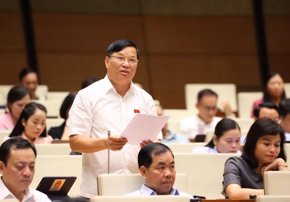 ttxvn_hop quoc hoi 2905 (2).jpg