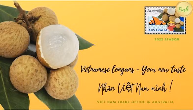 Hàng chục tấn nhãn Việt Nam "đổ bộ" vào thị trường Australia ảnh 1
