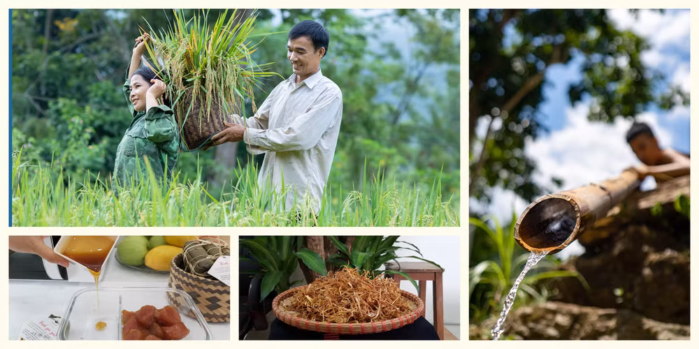 Đóng góp của những ‘bóng hồng' trên chặng đường phát triển bền vững ảnh 2