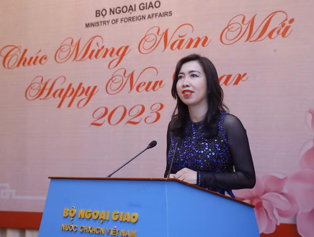 Bộ Ngoại giao gặp gỡ báo chí nước ngoài nhân dịp năm mới 2023 ảnh 1
