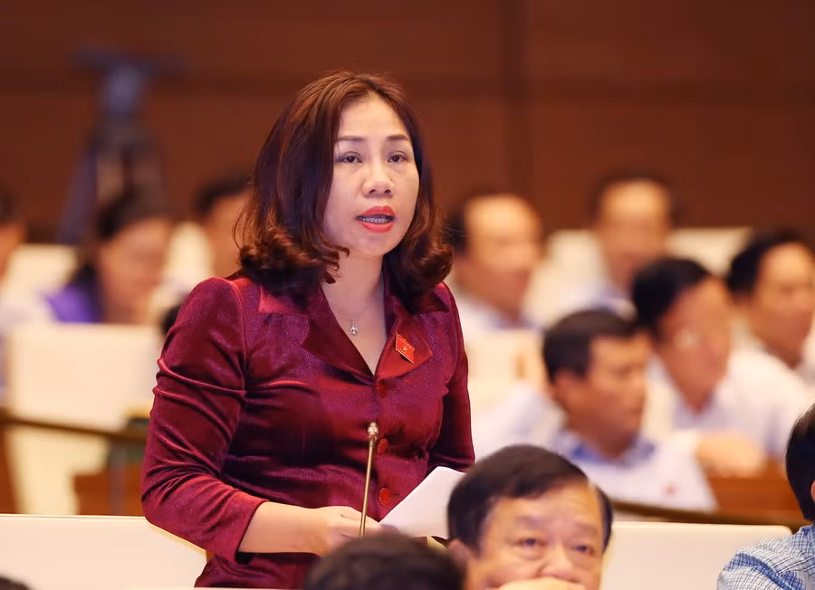 Thiết lập đồng bộ chính sách hỗ trợ doanh nghiệp nhỏ và vừa ảnh 2