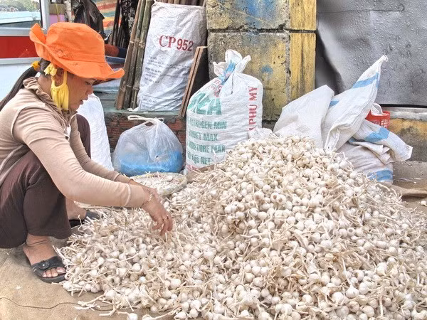 Cấp bảo hộ chỉ dẫn địa lý: Thúc đẩy sở hữu trí tuệ địa phương ảnh 1