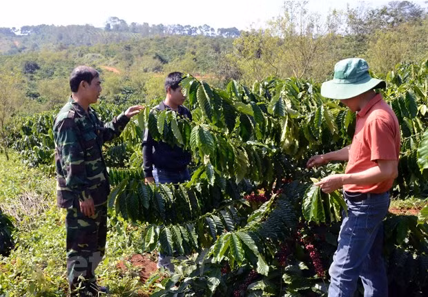 Tạo "bệ đỡ" cho thoát nghèo vùng đồng bào dân tộc thiểu số và miền núi ảnh 1