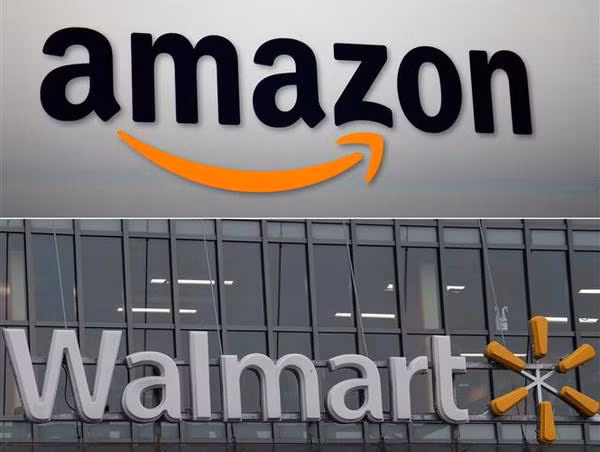 Walmart có thể vượt Amazon về số bằng sáng chế máy bay không người lái ảnh 1